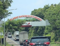 Bisnis Hutan Jati Beromzet Milyaran Dibekingi Pejabat Penting Situbondo