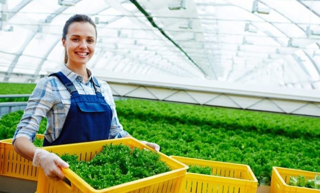 Pentingnya Pendidikan Agribisnis dalam Meningkatkan Ekonomi