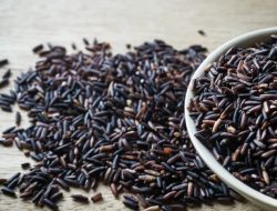 Manfaat Beras Hitam Bagi Kesehatan, Apa Saja Kandungannya ?