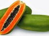 Kaya Vitamin dan Banyak Manfaat Pepaya