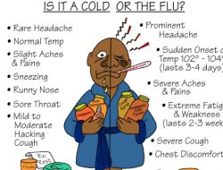 Tips Untuk Menyembuhkan Flu Dengan Cepat dan Alami