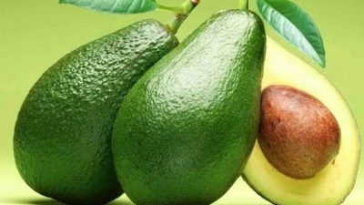 Cara Menyembuhkan Batu Ginjal Dengan Buah Alpukat