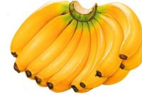 Pengertian, Kandungan dan Manfaat Buah Pisang Untuk Kesehatan