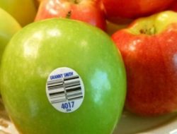 Bahaya Formalin Pada Buah Impor dan Bahaya Pengawetnya Untuk Kesehatan