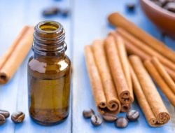 Cara Membuat Minyak Kayu Manis