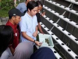 Pengembangan Bisnis Agro Hidroponik Skala Industri Ngetrend di Perkotaan