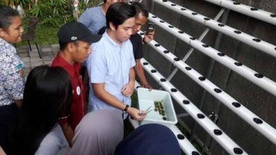 Pengembangan Bisnis Agro Hidroponik Skala Industri Ngetrend di Perkotaan