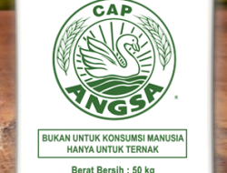 Polland Gandum Kaya Protein Tinggi Sangat Bagus Untuk Campuran Pakan Ternak