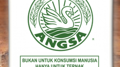 Polland Gandum Kaya Protein Tinggi Sangat Bagus Untuk Campuran Pakan Ternak