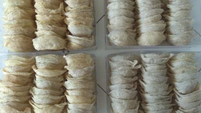 Masa Panen dan Cara Memanen Sarang Walet