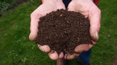 Tahapan Cara Membuat Pupuk Kompos Super dan Bahan Dasarnya