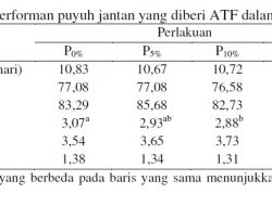 Performan Puyuh Jantan yang Diberi Ampas Tahu Fermentasi dalam Ransum