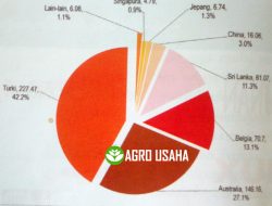 Dumping Tepung Terigu Impor Berbau Apek