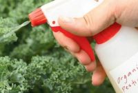 Rahasia Turun Temurun Cara Membuat Peptisida Organik dan Buang Peptisida Kimia