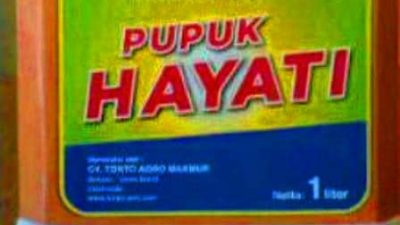 Cara Membuat Sendiri Pupuk Hayati Cair dan Pupuk Hayati Padat