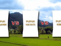 Pupuk Hayati, Hormon Pupuk Daun dan Enzim Pendongkrak Produksi Tanaman