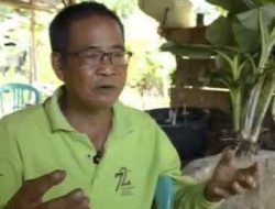 Cara Membuat Pupuk Organik Ajaib Racikan Haji Eng, Hasil Fantastis