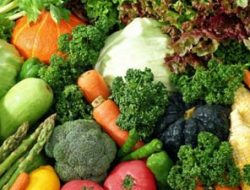 Kunci Sukses Mengambil Peluang Usaha Memproduksi Tanaman Sayur Sayuran