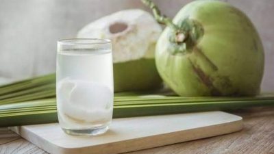 Cara Mengolah Air Kelapa Menjadi Pupuk Organik Cair (POC) Berkualitas