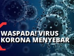Tahukah Tamu Anda Membawa’ 38 Juta Bakteri, Jaga Kebersihan Rumah