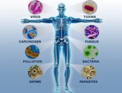 6 Kebiasaan yang Menyebabkan Melemahnya Sistem Imun Tubuh
