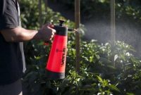 Manfaat Pupuk Daun Terhadap Tanaman dan Teknik Menggunakannya