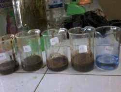 Proses Fragmentasi dan Efektivitas Bakteri Fotosintetis Sebagai POC