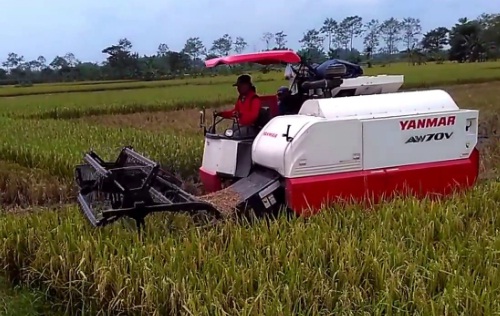 Yanmar Aw 70 Combine