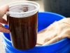 Cara Membuat Urea Cair Organik Untuk Mengatasi Kekurangan Pupuk Kimia
