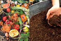 Cara Membuat Pupuk Kompos Sendiri dari Daun dan Sampah Organik Dapur