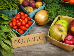 Cara Membuat Pupuk Organik Cair (POC) Super Ampuh Hasilkan Panen Melimpah