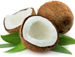 Prospek Olahan Turunan Kelapa Jadi Peluang Bisnis Menjanjikan