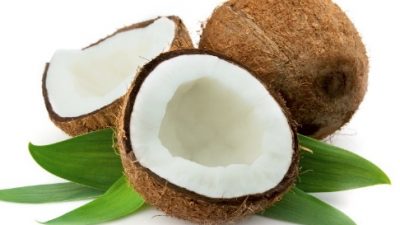 Prospek Olahan Turunan Kelapa Jadi Peluang Bisnis Menjanjikan