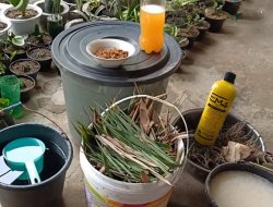 Rumus Membuat Pupuk Organik Cair Ampuh Kalahkan Pupuk Kimia
