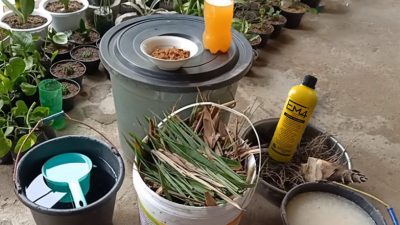 Rumus Membuat Pupuk Organik Cair Ampuh Kalahkan Pupuk Kimia