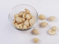 Peluang Bisnis Komoditas Kemiri Kupas dan Kulit Kemiri, Berikut Harganya :