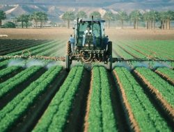 Apa yang disebut dengan Agroindustri? Perusahaan Agroindustri Terkenal di Indonesia