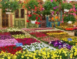 13 Jenis Tanaman Yang Bisa Menjadi Peluang Bisnis Menguntungkan