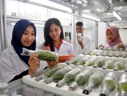 Pengertian, Ruang Lingkup, Fungsi dan Aspek Manajemen Agribisnis