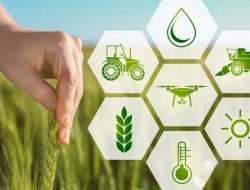 Peluang Usaha Bidang Agrobisnis Yang Lagi Viral, Cepat Ambil Peluangnya