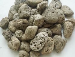 Macam Media Bakteri Starter Aquascape Untuk Menjaga Kualitas Air Aquarium